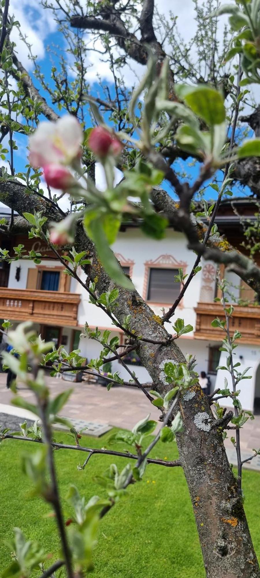 B&B Ciauceia เซลวาดีวัลการ์เดนา ภายนอก รูปภาพ